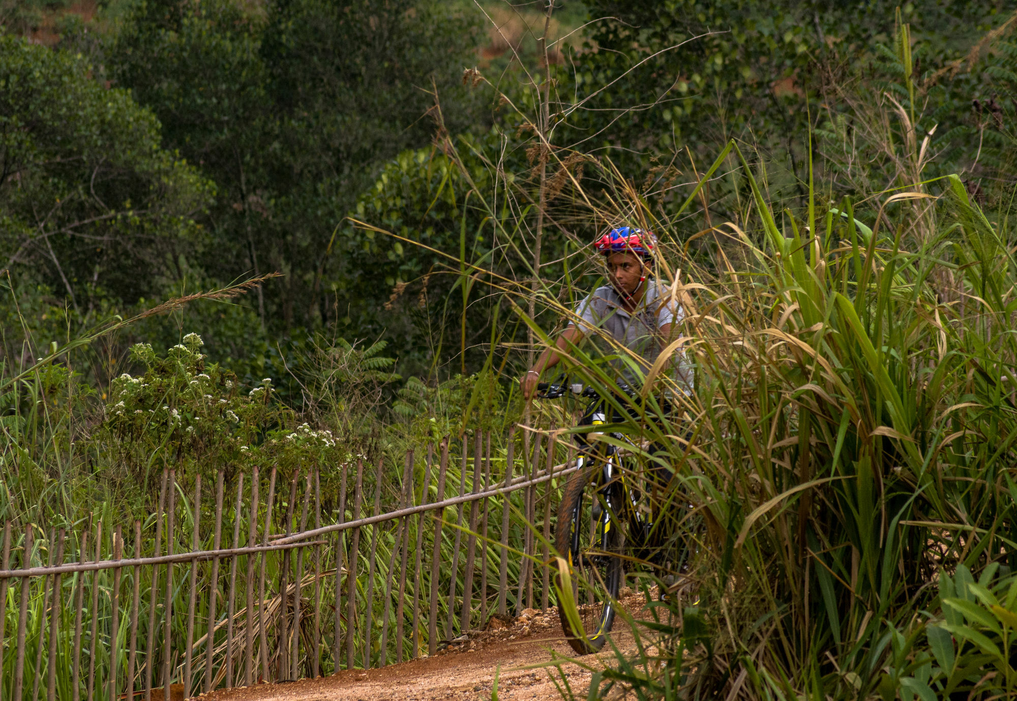 Santani Wellness Kandy Extérieur photo